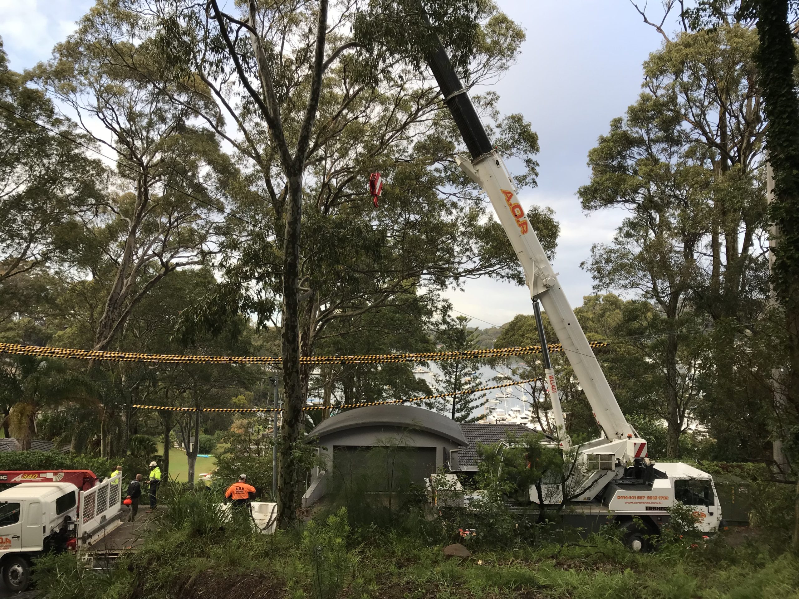 Large crane on site tree removals in Sydney's northern beaches Large crane on site tree removals in Sydney's northern beaches
